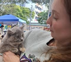 Kitkat is adopted by a loving family