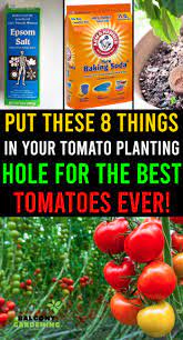 Pin On Gardening