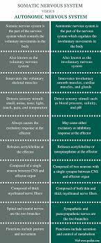 Difference Between Somatic And Autonomic Nervous System Comparison Summary Autonomic Nervous System Nervous System Nervous System Anatomy