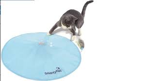 Cat puzzle toys hunting instinct. 18 Cat Toys With Thousands Of Positive Reviews
