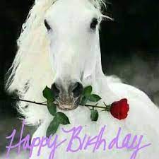 Horse happy birthday, beautiful day, horse bday, p…. Birthday Wishes Happy Birthday Horse Happy Birthday Niece Happy Birthday Beautiful Daughter