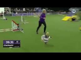 Shrek Running Dog Course Meme Youtube