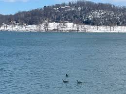 BURN BAN: Due to high winds, Cherokee Landing State Park has issued a burn  ban.