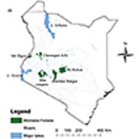 Image result for Agelanthus unyorensis