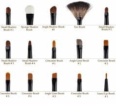 Professional Makeup Brushes Guide The Best Makeup Brush List For Beginners Get These Affordable Ma Makeup Brushes Guide Makeup Brush Set Best Makeup Brushes