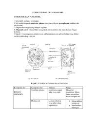 Check spelling or type a new query. Doc Struktur Dan Organisasi Sel Nur Sawani Saumi Academia Edu