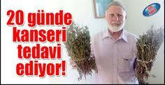 Son Irade Saglik Otlar Bitkisel Ilac