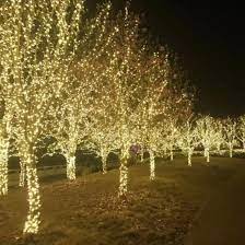 A voltage guide | doityourself may 01, 2010you now need to subtract the 10.8 volts from the 12 volts. High Quality Warm White Led Christmas String Light For Outdoor On Tree With Gs Certificate China Led String Light Christmas Light Made In China Com