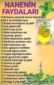 Nanenin Faydasi Naturalremediesibs In 2020 Healthy Happy Life Natural Health Remedies Healthy Life