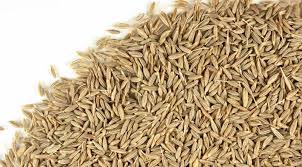 Benefits, side effects and information. Cumin Seeds By Sakthi Traders Cumin Seeds From Madurai Tamil Nadu India Id 1879933