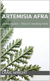 Image result for Artemisia afra