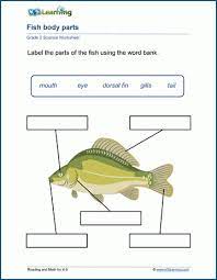 Turtle diary's science worksheet for kids give children a change to show off their knowlegde of scientific areas ranging from animals to anatomy. Grade 2 Science Worksheets K5 Learning