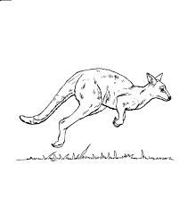 Beautiful kangaroos coloring page to print and color. Free Printable Kangaroo Coloring Pages For Kids
