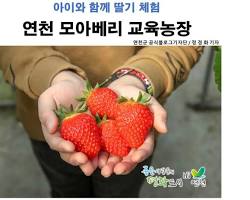모아베리교육농장 이미지