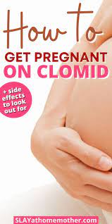 How To Take Clomid While Trying To Get Pregnant - Slay At Home Mother