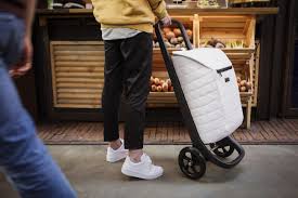 Bow Bag On Wheels Interchangeable Shopping Trolley Shopping Trolley Shoping Bag Folding Shopping Cart