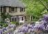 Modern French Cottage House