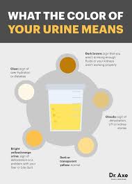 Cloudy Urine Could Signal Bacterial Infection Diabetes Or