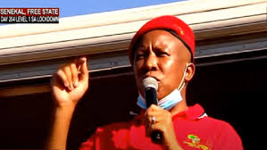 Julius malema educational qualifications left mzansi speechless. Malema Appeals To Eff Members To Face Racism Toe To Toe Sabc News Breaking News Special Reports World Business Sport Coverage Of All South African Current Events Africa S News Leader