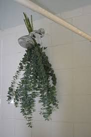 Inspiration Eucalyptus In The Bathroom Floating Shelves Diy Mason Jar Decorations Diy Hanging Shelves