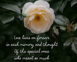 Sympathy ecards for bereavement and more. Sympathy Ecards Blue Mountain