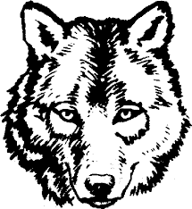 Pin By Oh Her Craftiness On Wood Burning Wolf Face Wolf Outline Wolf Drawing