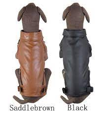 Pin On Dog Apparel And Accessories