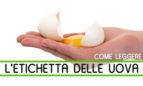In generale un uovo di gallina con guscio pesa in media sessanta grammi. Come Leggere L Etichetta Delle Uova Vivere Meglio