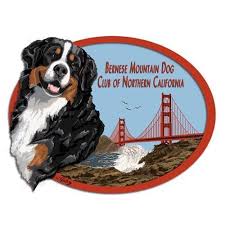 These dogs have roots in the roman mastiffs. Bernese Mountain Dog Club Of Northern California Home Facebook
