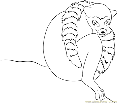 This coloring book page has the difficult easy and can be used for all beginners. Ring Tailed Lemur Coloring Page For Kids Free Lemur Printable Coloring Pages Online For Kids Coloringpages101 Com Coloring Pages For Kids