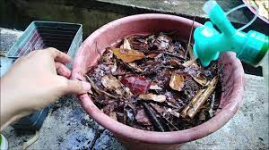 Cara membuat baja organik cecair sebagai baja buah. Cara Ringkas Buat Baja Kompos Dalam Pasu Di Rumah Guna Bahan Sisa Dapur Organik Youtube
