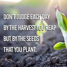 Good Morning People Of Life S Garden Don T Judge Each Day By The Harvest You Reap But By Th Thought Provoking Quotes Zig Ziglar Quotes Thought Provoking