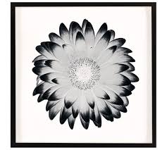 Floral design element with flowers and butterflies. Black White Flowers Framed Prints Pottery Barn