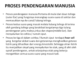 We did not find results for: Pembentukan Suara Dan Fisika Pendengaran Ppt Download