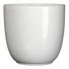 Tusca Indoor Planter, 28-cm Canvas