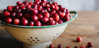 More images for how long does it take for cranberry pills to work » How The Science Of Azo Cranberry Protects Urinary Tract Health