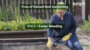 Much can be done to enhance a garden during the growing season if preparations are made. Black Gold Gro Your Own Videos Archives Black Gold