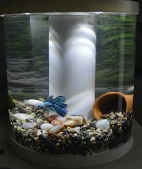 This is my review of the top fin bettaflo bf5 betta filter. Bettaflo Tank Has Gotten A Makeover I Added A Calendar Wrap On The Back And Will Be Adding A Couple Of Plants Once They Arrive Aquaponics Aquascape Betta