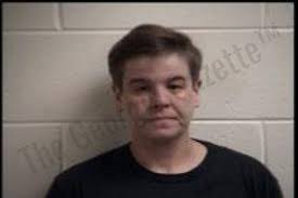 Ashlyn Williams: https://thegeorgiagazette.com/henry/ashlyn-williams/