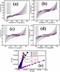 Image result for Sarcophrynium