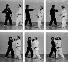 We sell our adidas combat sports equipment worldwide. Top 10 Martial Arts Disciplines For Self Defense And Survival Bookmartialarts Com