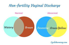 Clear, watery discharge is often normal, especially near ovulation. What Does Your Vaginal Discharge Tell You Cycle Harmony