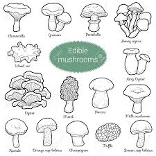 Color space information #9b8a80 | pale oyster. Black And White Set Of Edible Mushrooms Coloring Page With Different Royalty Free Cliparts Vectors And Stock Illustration Image 60596598