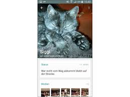 Whatsapp Status Sprüche Die Besten Sprüche Für Jede Gelegenheit