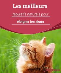 my animals blog sur les conseils les soins et tout ce qui concerne le monde animal repulsif chat jardin eloigner les chats repulsif chat naturel