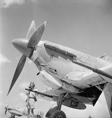 World war ii forces of britain in egypt ...