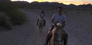 Guided and unguided horseback riding. Home Silver State Horseback Riding Tours