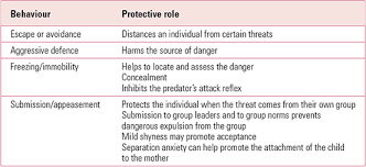 Separation anxiety disorder (sad) is most often an issue suffered by small children. Anxiety Disorders In Children And Adolescents Aetiology Diagnosis And Treatment Bjpsych Advances Cambridge Core
