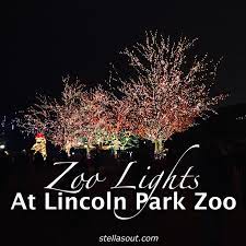 Zoo Lights At Lincoln Park Zoo Stella S Out Zoo Lights Lincoln Park Zoo Lincoln Park