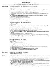 Trained 20 auditors) examples of what makes you unique (what a day in your life looks like or your favorite books) Audit Professional Resume Samples Velvet Jobs